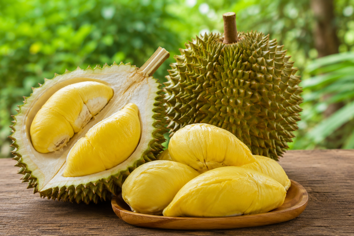 Sầu riêng Việt Nam. Ảnh minh họa