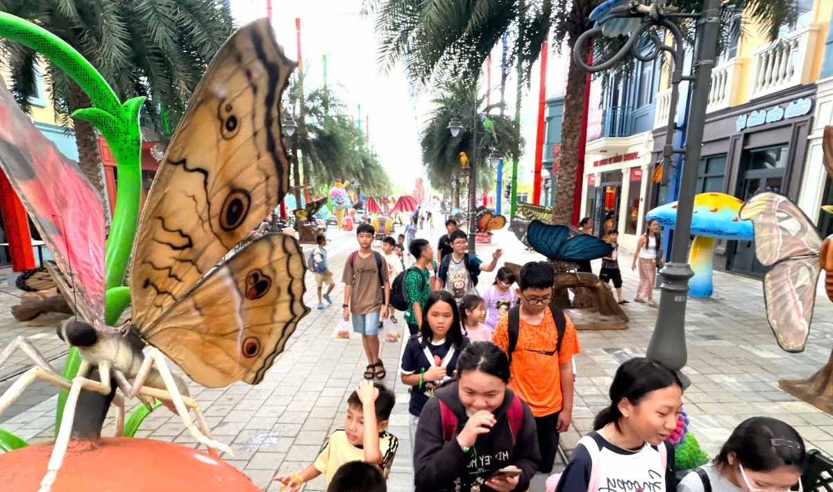 Tham quan bảo tàng