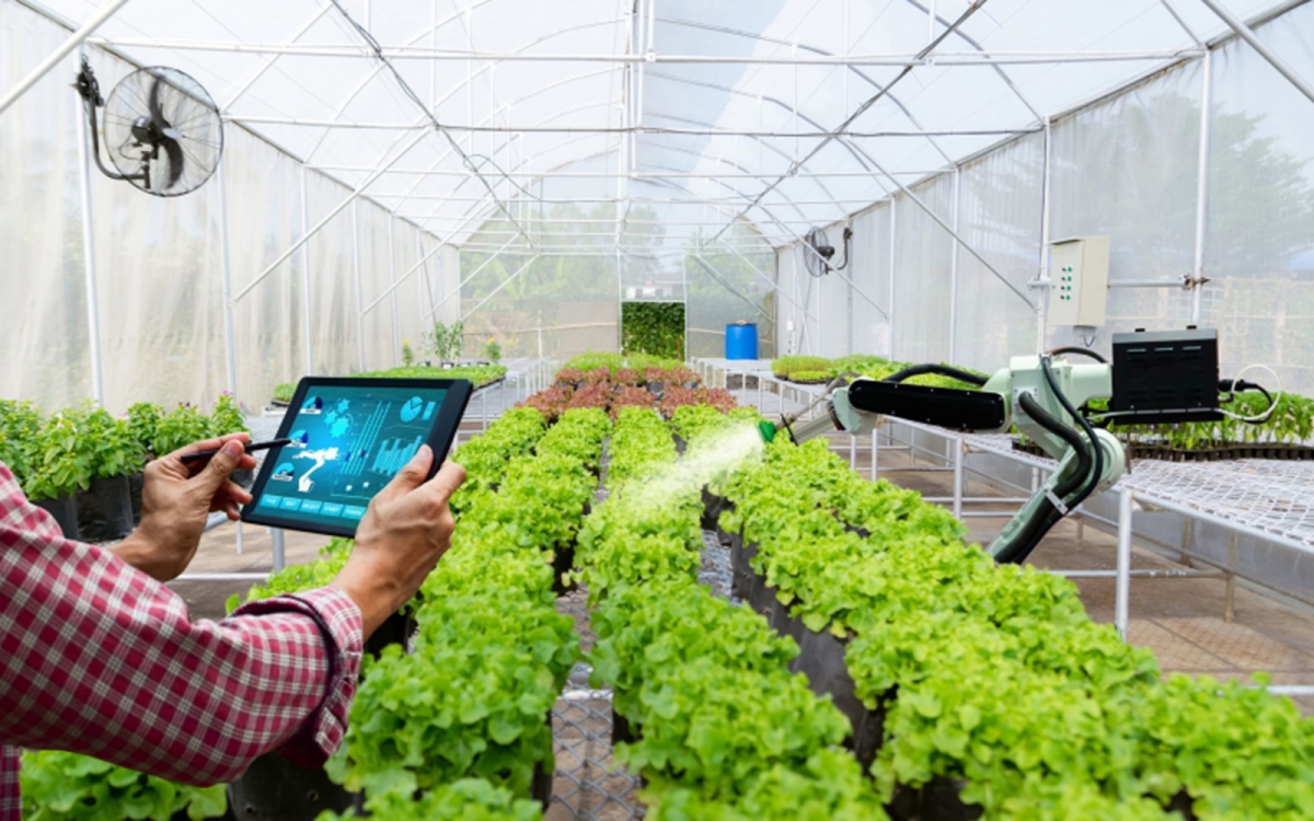 Hà Nội đặt mục tiêu đến năm 2030, ít nhất 20% nhiệm vụ khoa học và công nghệ trong lĩnh vực nông nghiệp được nghiên cứu, ứng dụng và chuyển giao phục vụ phát triển kinh tế tuần hoàn trong nông nghiệp