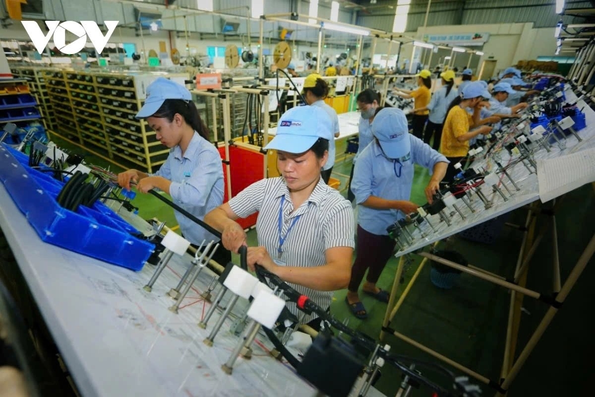 Cần chính sách hỗ trợ phát triển doanh nghiệp dài hạn​​​​​