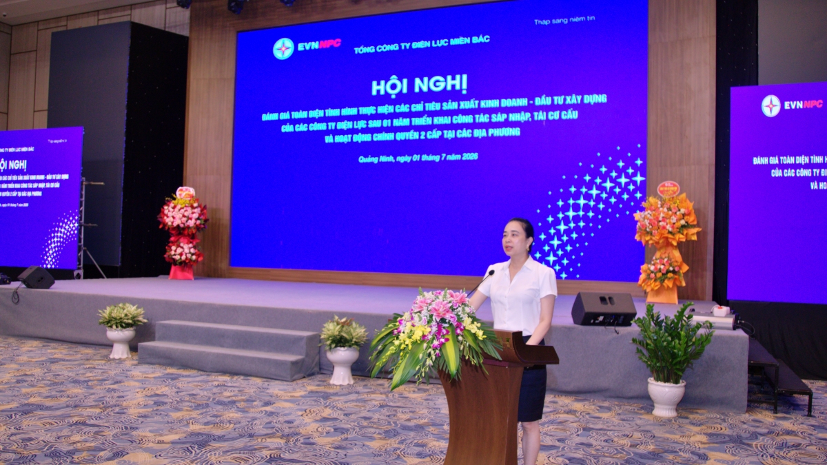 Bà Đỗ Nguyệt Ánh - Chủ tịch Hội đồng Thành viên Tổng Công ty Điện lực miền Bắc 
