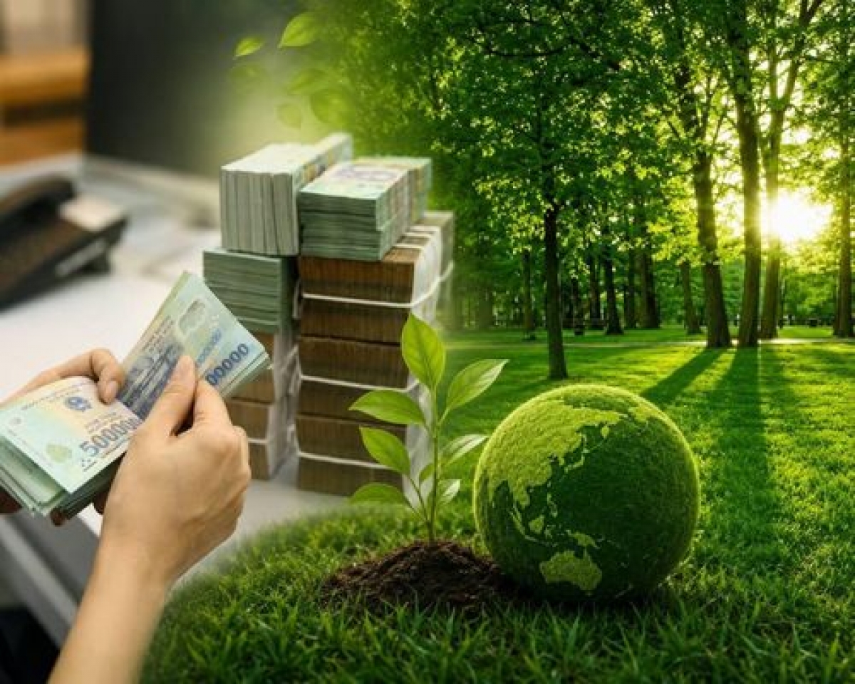 Ngân hàng nhà nước khai thông dòng vốn xanh cho doanh nghiệp.