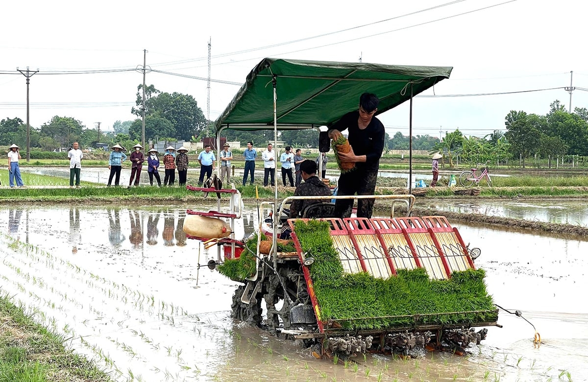 Theo đánh giá của Trung tâm Khuyến nông Hà Nội, một máy cấy 4 hàng làm việc 8 giờ/ngày sẽ cấy được 0,8-1ha, tương đương 25-30 người vừa cấy, vừa nhổ mạ. 
