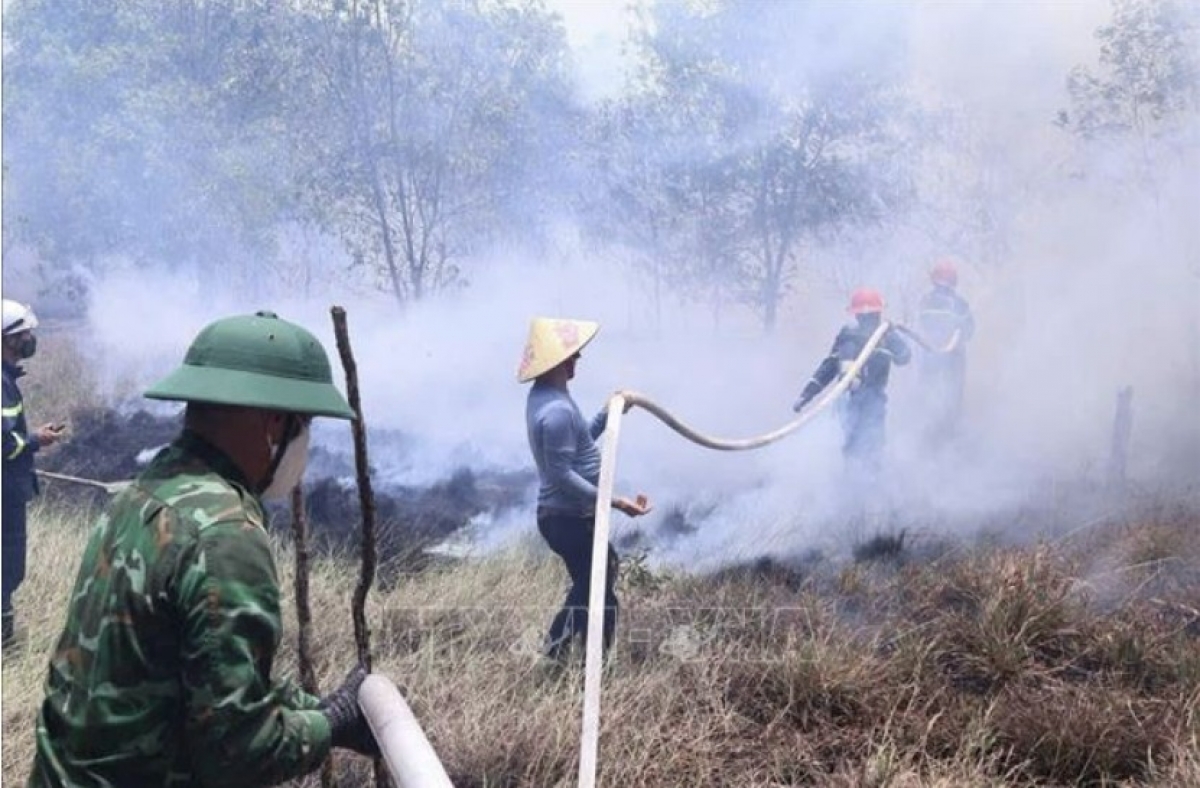 Chính quyền xã Nam Cửa Việt cùng các lực lượng chức năng khẩn trương dập tắt cháy rừng. Ảnh: TTXVN
