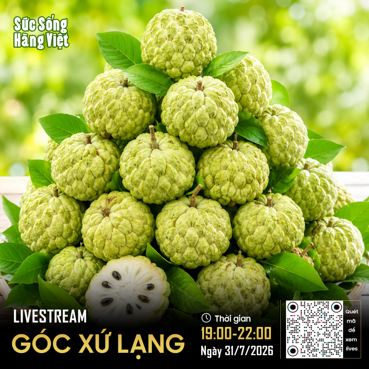 Na Hữu Lũng sẽ được đưa từ vườn đến trực tiếp Không gian 62 Tràng Tiền để phục vụ người tiêu dùng Hà Nội