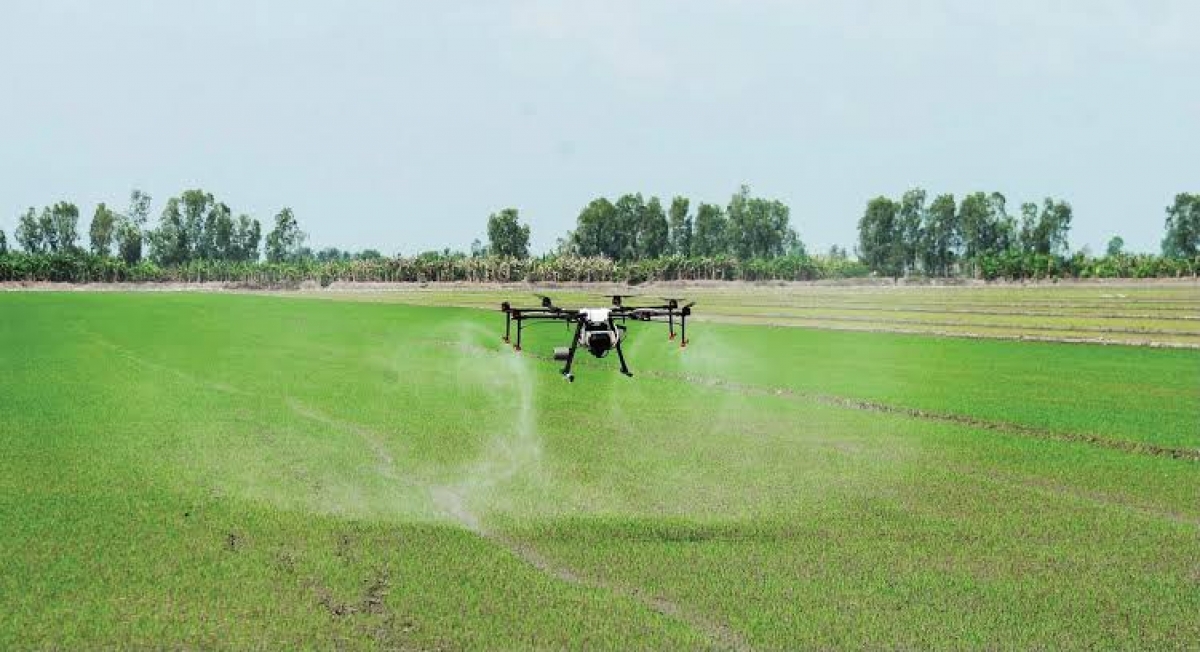 Nông dân sử dụng drone trong sản xuất