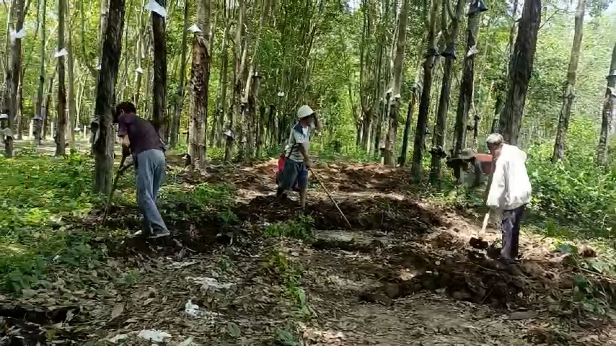 Một chuyến đi của thương binh Lã Mạnh Tùng và người dân địa phương trên các cánh rừng Tây Nguyên để tìm kiếm hài cốt liệt sĩ.
