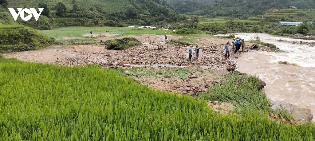 Diện tích lúa của người dân ở xã Púng Luông, tỉnh Lào Cai bị vùi lấp do lũ quét. Ảnh: Thừa Xuân - VOV Tây Bắc