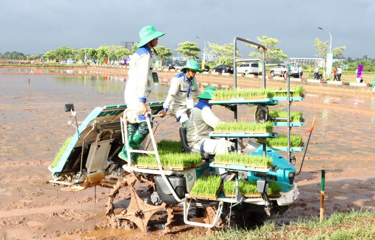 Cơ giới hóa, tạo động lực cho nông nghiệp Hà Nội phát triển bền vững