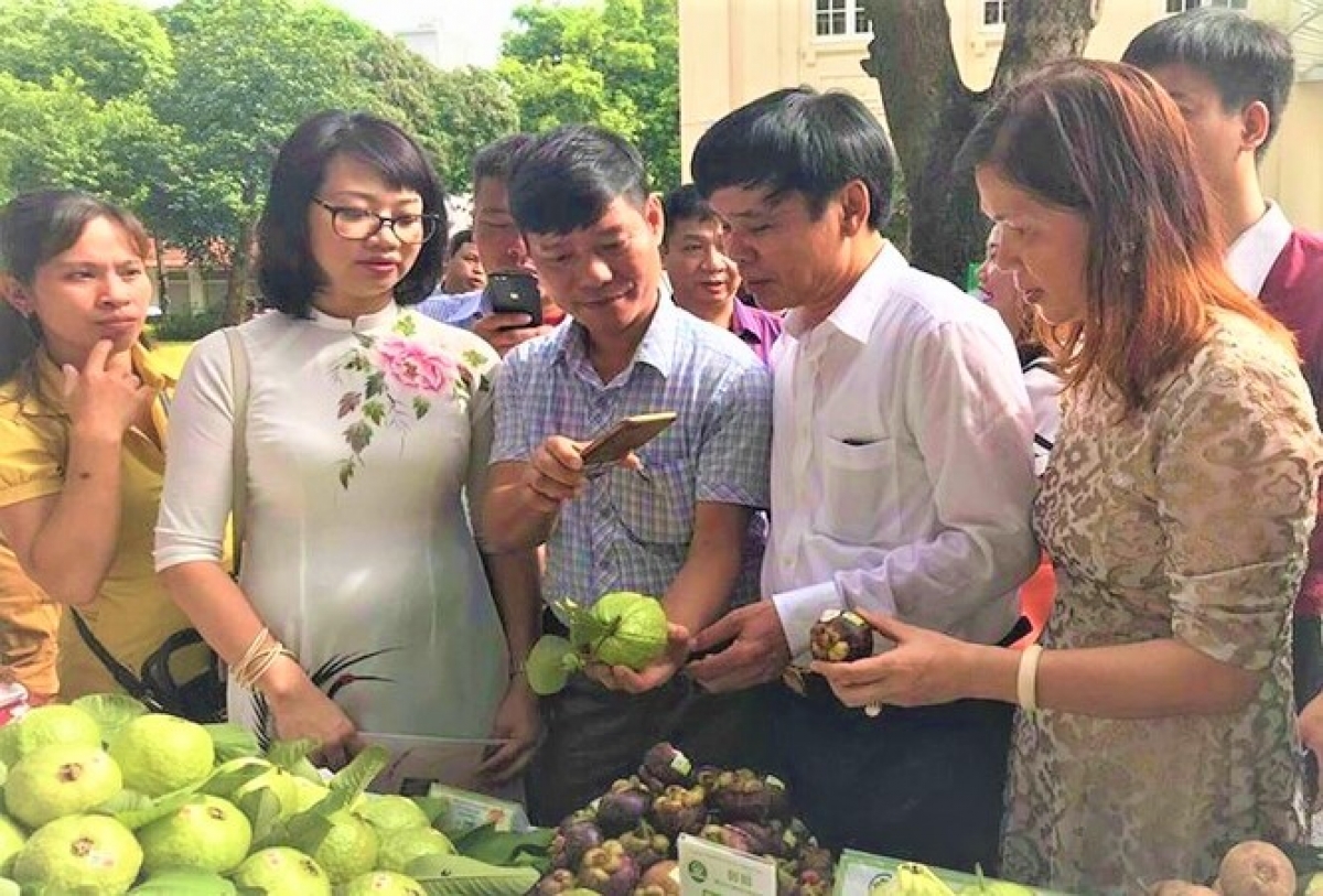 Nhờ sử dụng nhật ký điện tử trên máy tính và smartphone, Ban giám đốc HTX Nông nghiệp Khánh Phong và nhà thu­­ mua đều nắm được thông tin chất lượng sản phẩm.