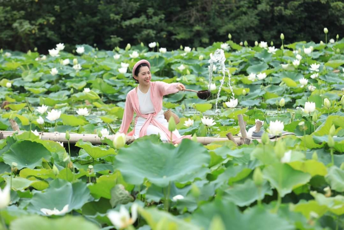 Hà Nội có rất nhiều vùng trồng sen kết hợp với phát triển du lịch sinh thái cho hiệu quả kinh tế cao.