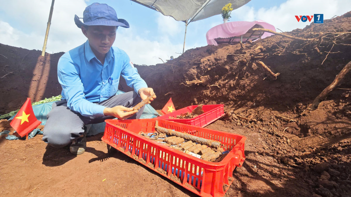 Di vật được tìm thấy khi quy tập hài cốt liệt sĩ trong lô cao su ở xã Minh Đức