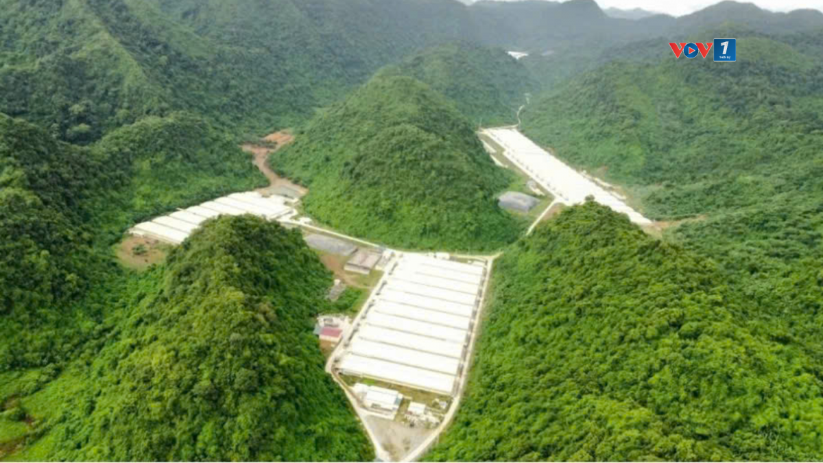Công ty Trách nhiệm hữu hạn Dabaco Thanh Hóa