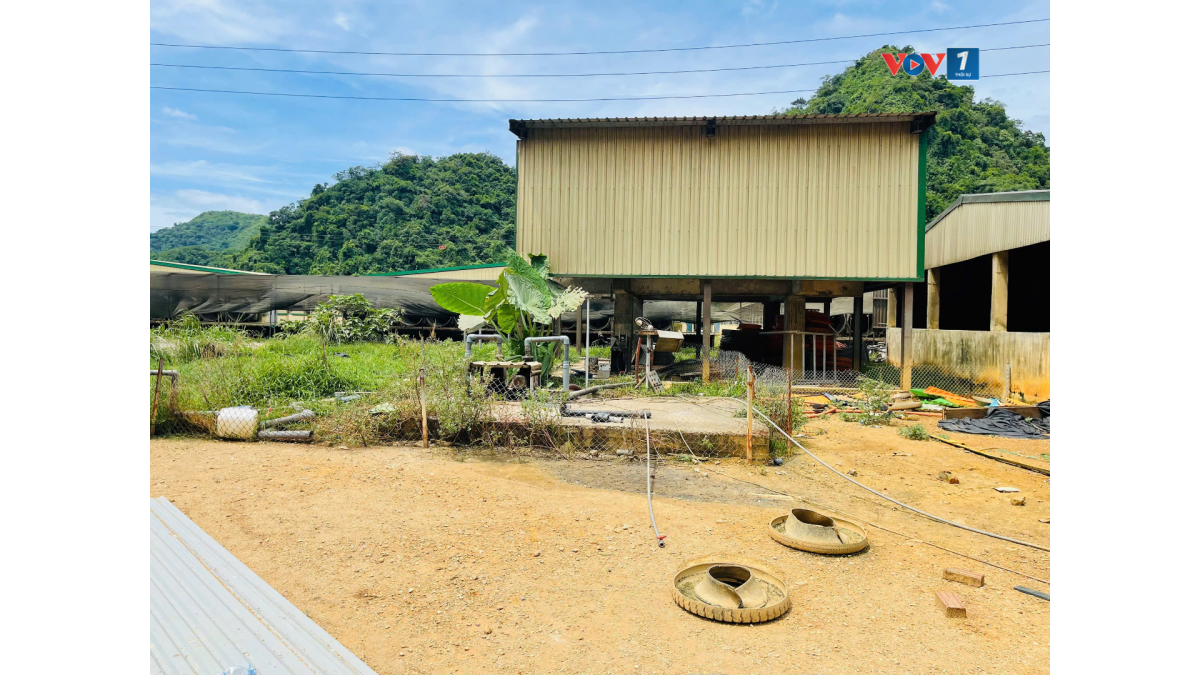 Khu vực xảy ra tai nạn lao động nghiêm trọng tại Công ty Trách nhiệm hữu hạn Dabaco Thanh Hóa