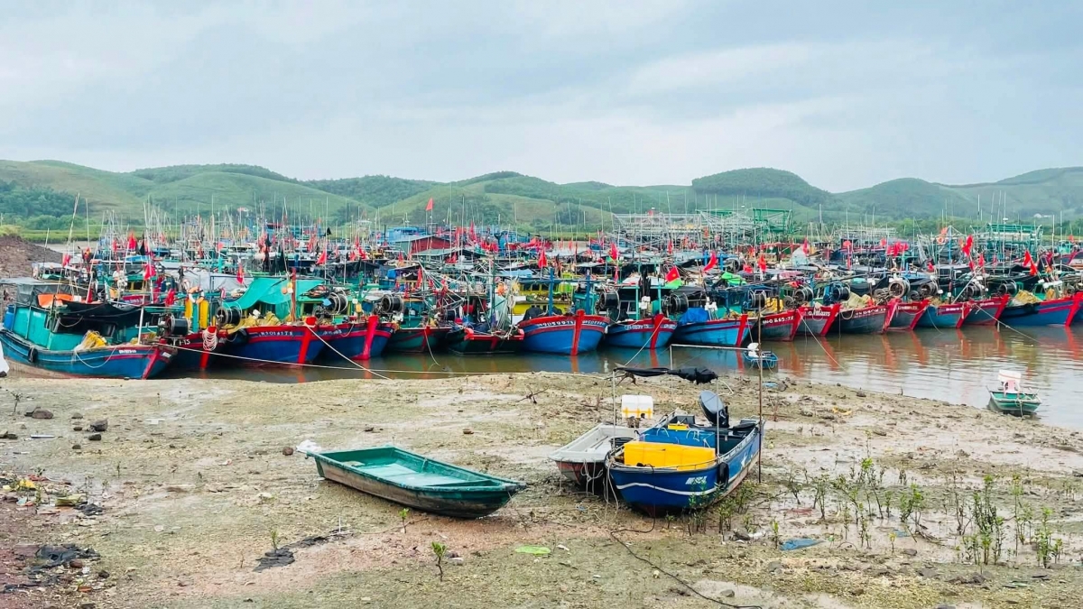 Đến sáng nay, tất cả các phương tiện thủy trên địa bàn tỉnh đã về nơi tránh trú an toàn. (Nguồn ảnh: Đinh Hùng)