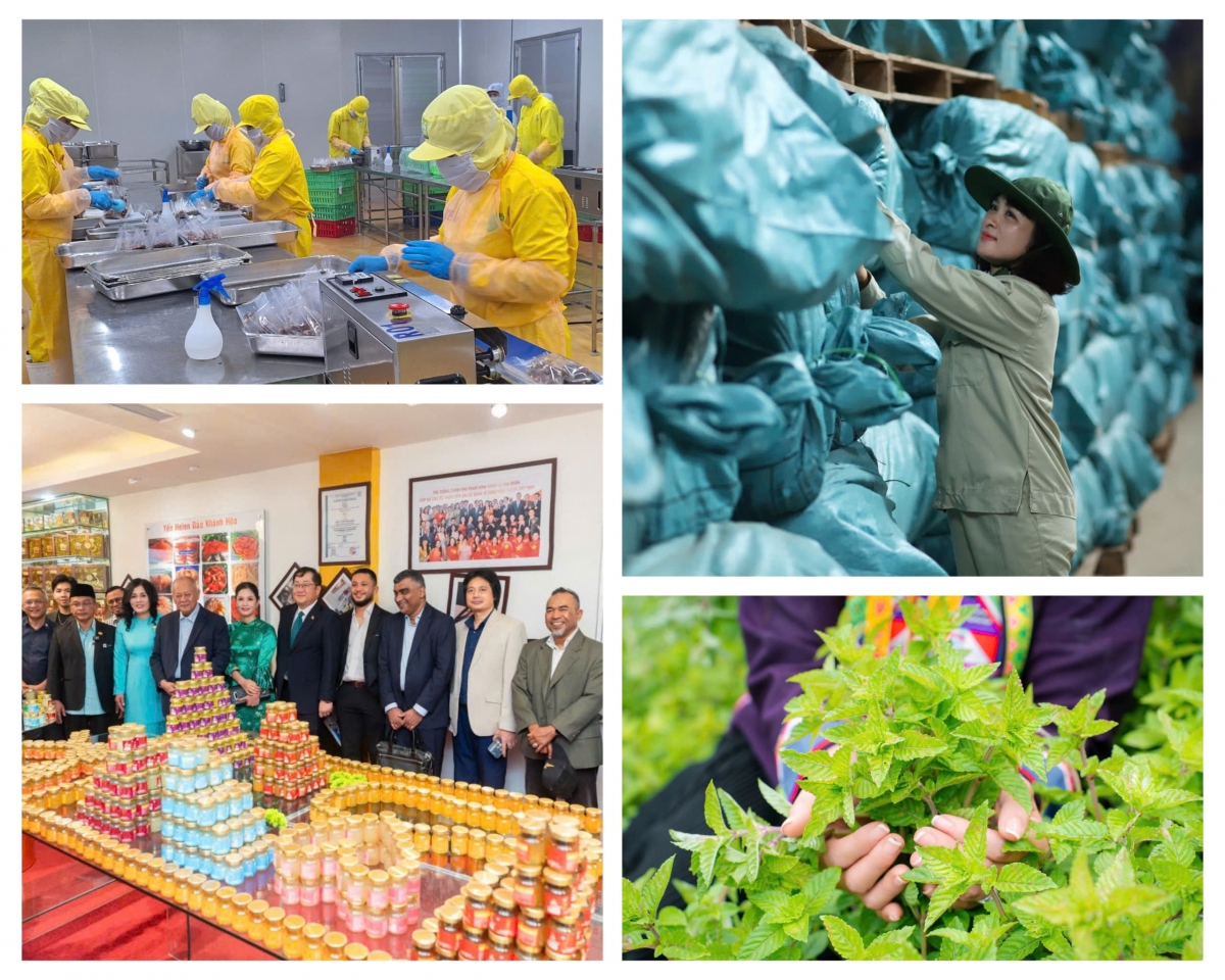 Doanh nghiệp của Việt Nam chuẩn hóa tiêu chuẩn Halal để chủ động xúc tiến thị trường các nước Hồi giáo
 