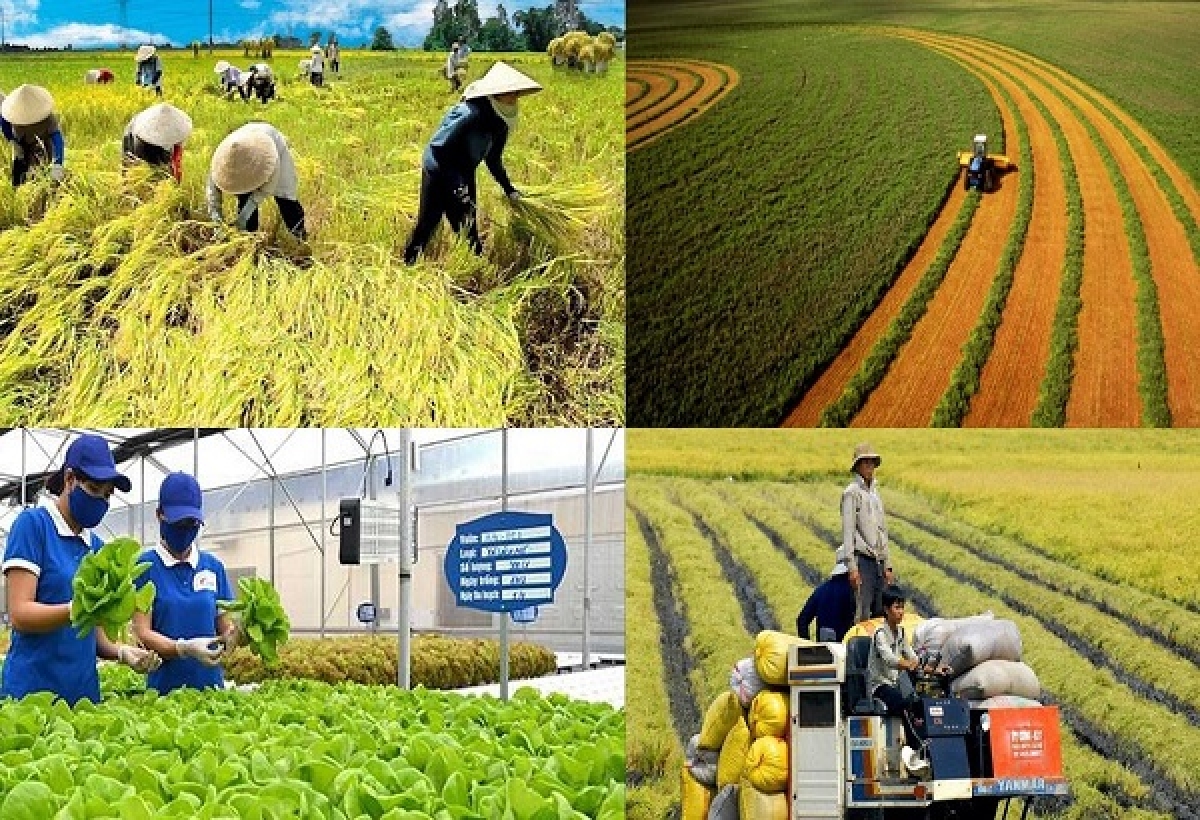 Thay đổi canh tác đang được triển khai trên khắp các cánh đồng trên cả nước