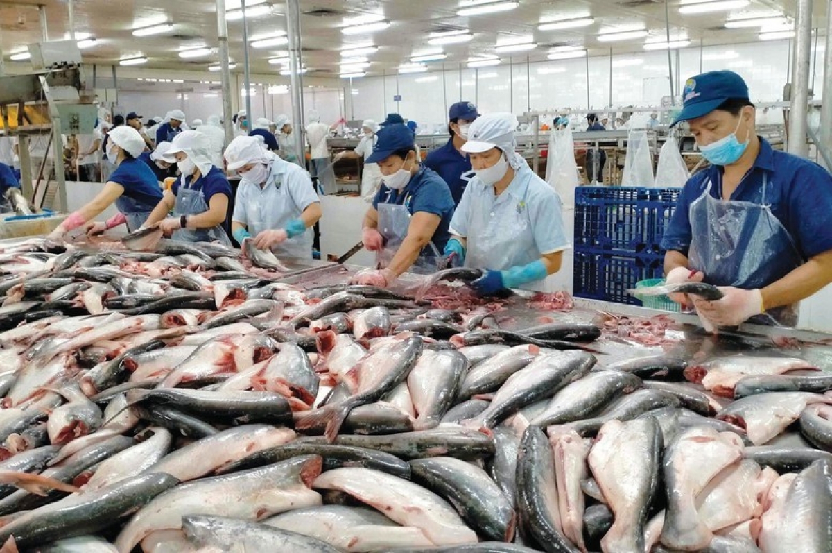 7 tháng đầu năm 2026, kim ngạch xuất khẩu thủy sản đạt gần 6,78 tỷ USD, tăng 11,5% so với cùng kỳ năm trước