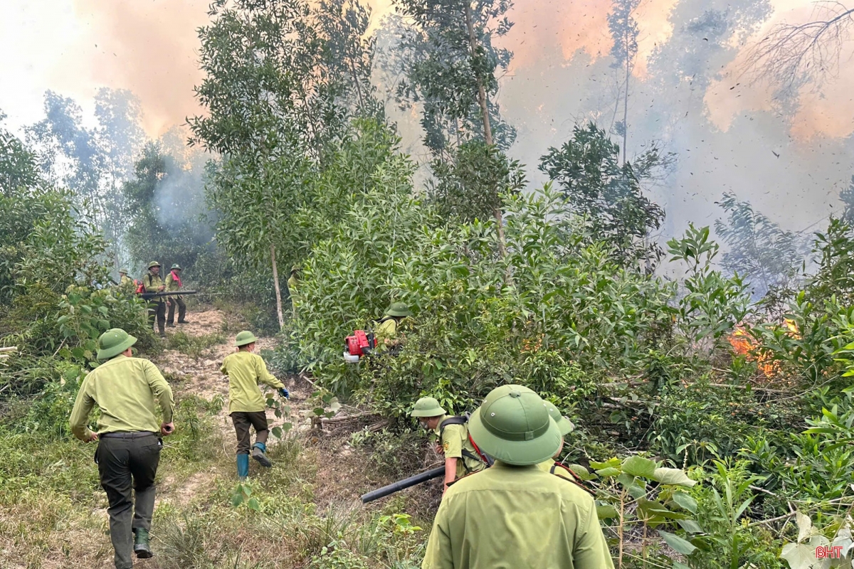 Lực lượng chức năng tỉnh Hà Tĩnh khẩn trương chữa cháy rừng tại xã Trường Lưu. Ảnh - Báo Hà Tĩnh
 
