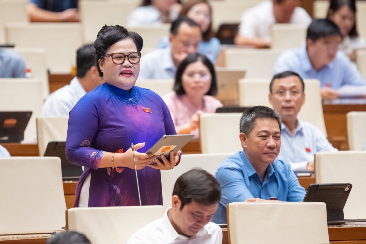 Đại biểu Nguyễn Thị Sửu - Đoàn ĐBQH Huế