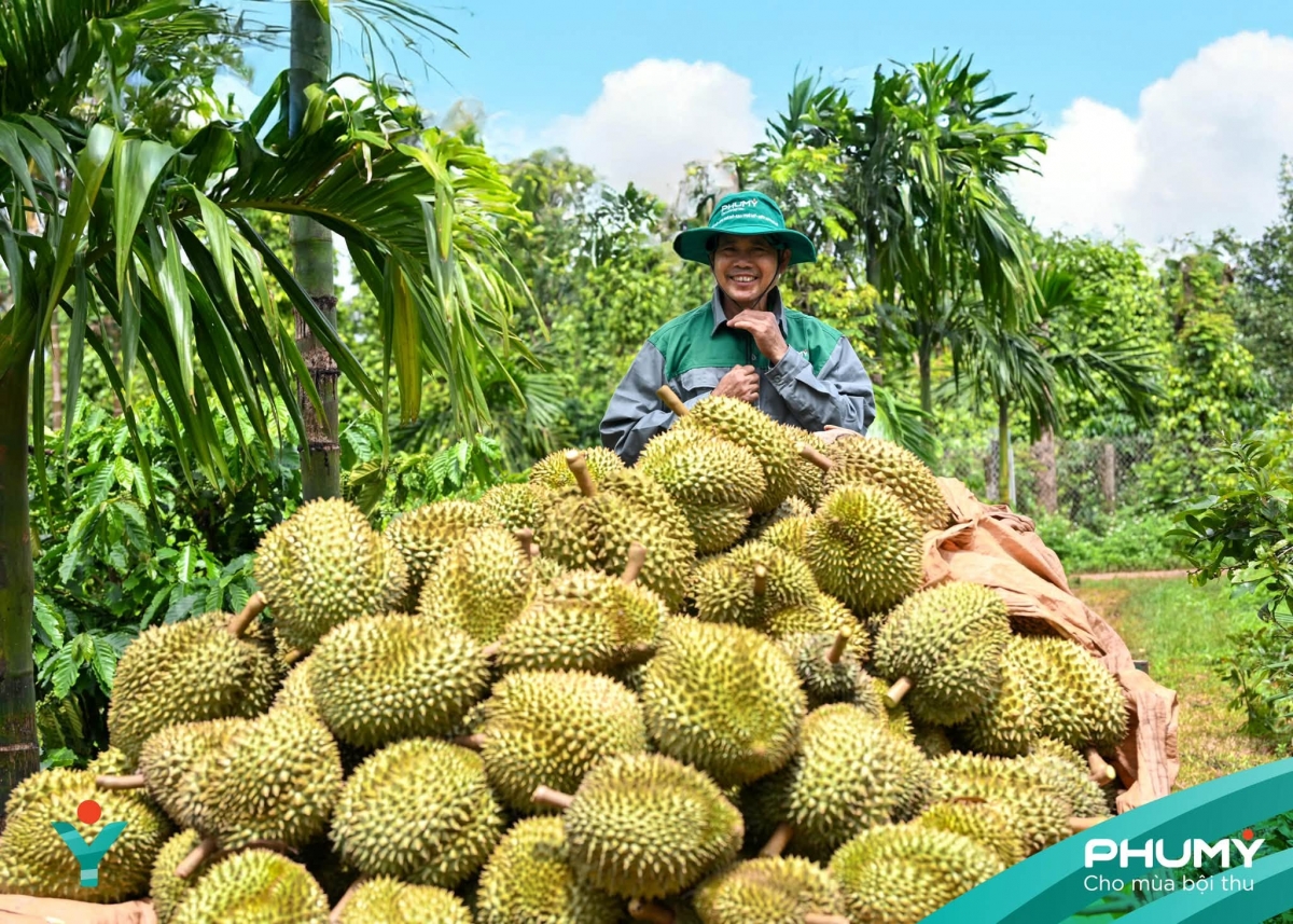 Bức ảnh tham gia Triển lãm ảnh nghệ thuật “Nữ hoàng của đại ngàn xanh”