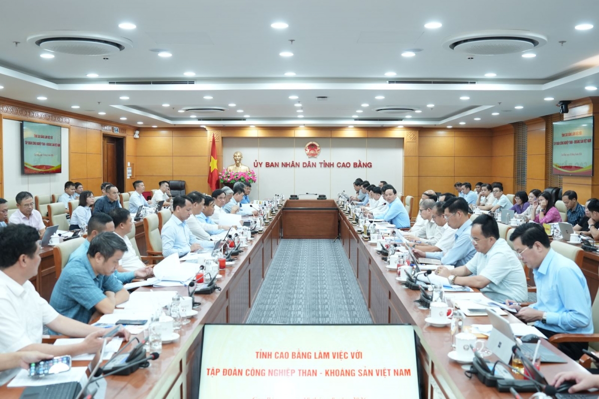 Toàn cảnh buổi làm việc
