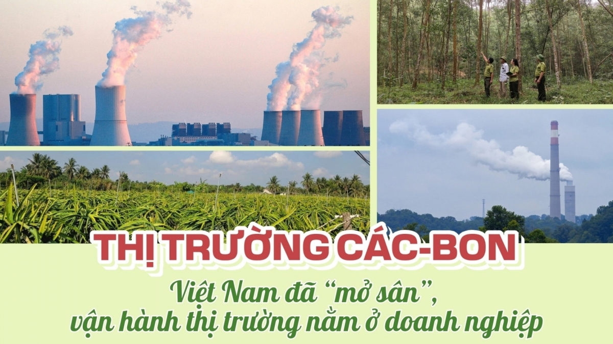 Ảnh minh họa - Internet