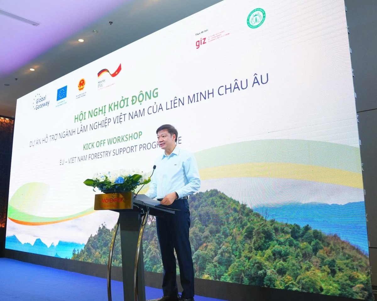 Ông Trần Quang Bảo, Cục trưởng Cục Lâm nghiệp và Kiểm lâm. (Ảnh: BTC)