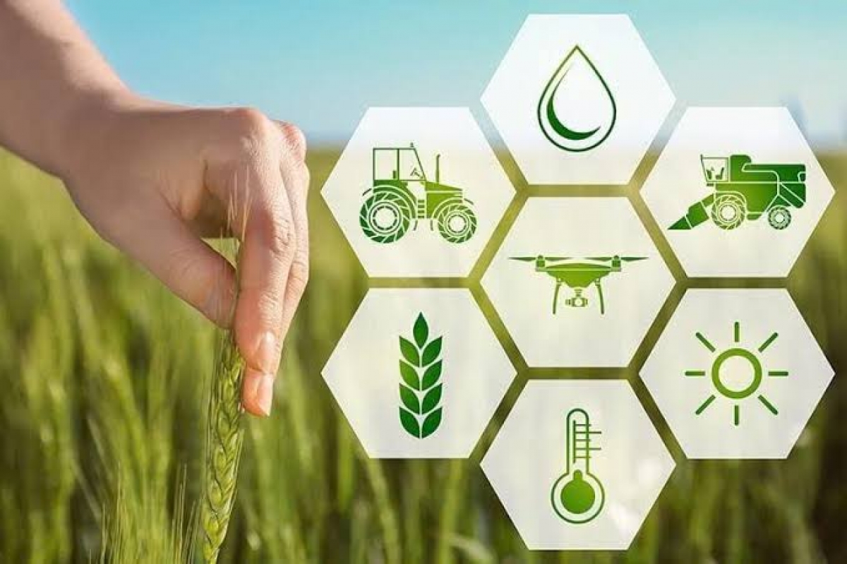 Chuyển đổi số, chuyển đổi xanh mang lại nhiều lợi ích cho nông dân (Hình minh họa)