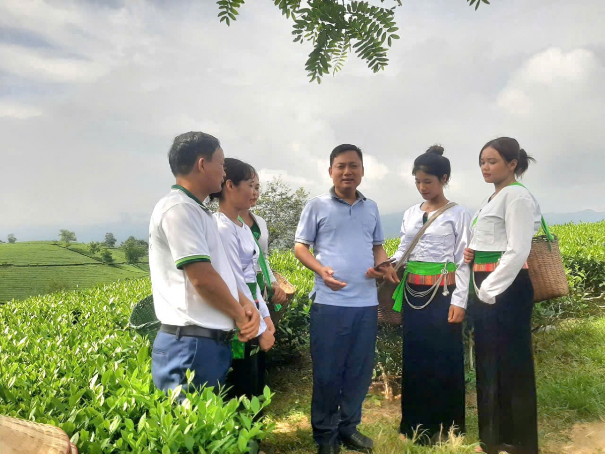 Ông Nguyễn Hoàng Trung - Bí thư Đảng ủy xã Long Cốc, tỉnh Phú Thọ, đồng hành cùng người dân địa phương tìm giải pháp nâng tầm du lịch đồi chè Long Cốc.