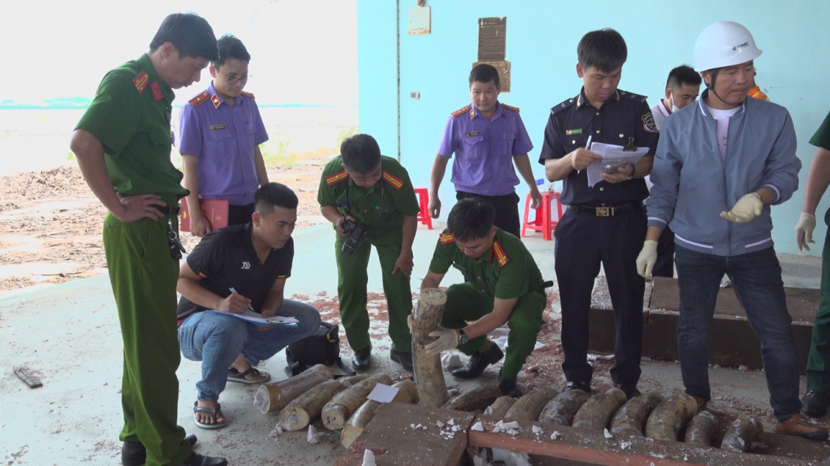 Lực lượng chức năng thu giữ số lượng lớn ngà voi nhập lậu (Ảnh: Công an Gia Lai).