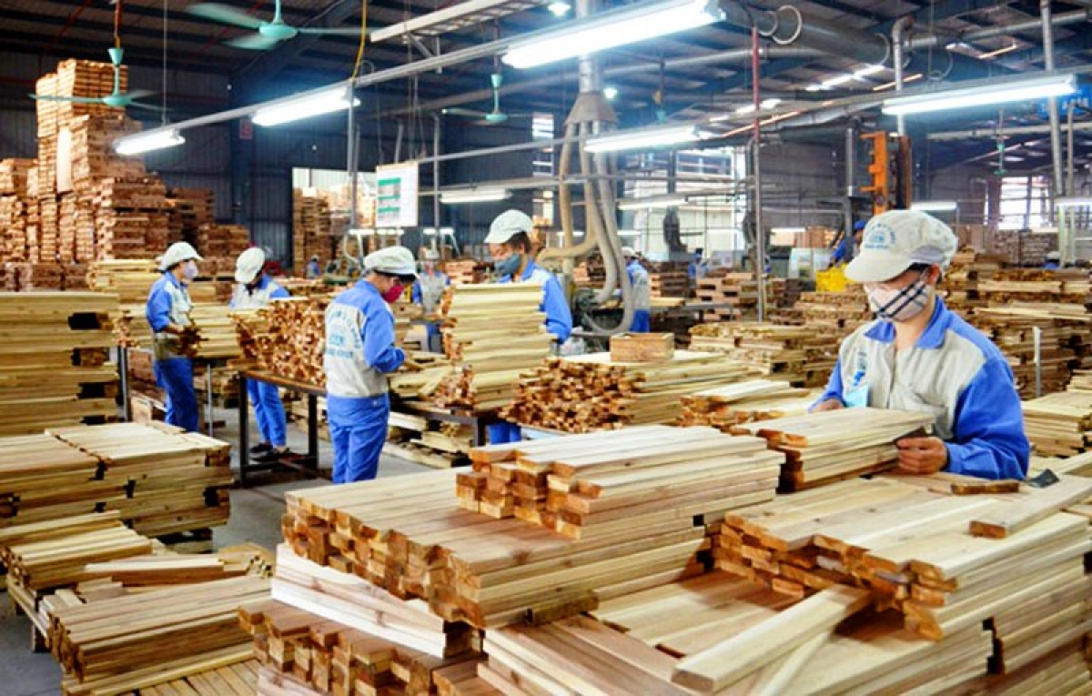 Ngành gỗ cho giá trị xuất siêu lớn. Ảnh minh hoạ
