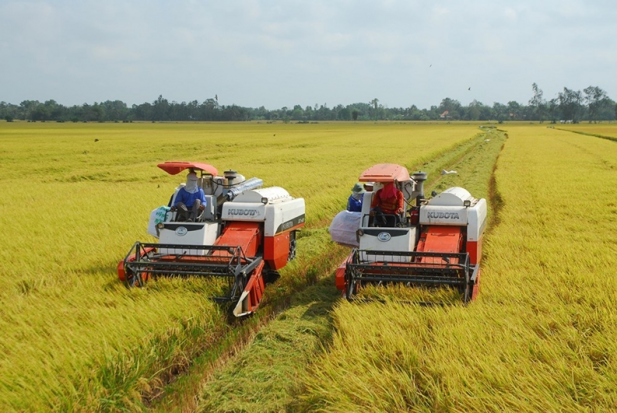 Các mô hình sản xuất nông nghiệp ứng dụng công nghệ cao trên địa bàn thành phố Hà Nội đã đem lại hiệu quả kinh tế cao.