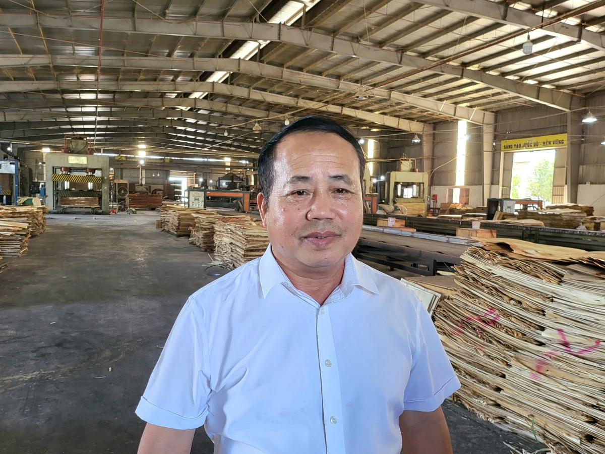 Ông Nguyễn An Bích - Giám đốc Chi nhánh miền Trung, Công ty CP Đầu tư xây dựng và Phát triển đô thị Thăng Long tại xưởng sản xuất gỗ ván ép công nghiệp.