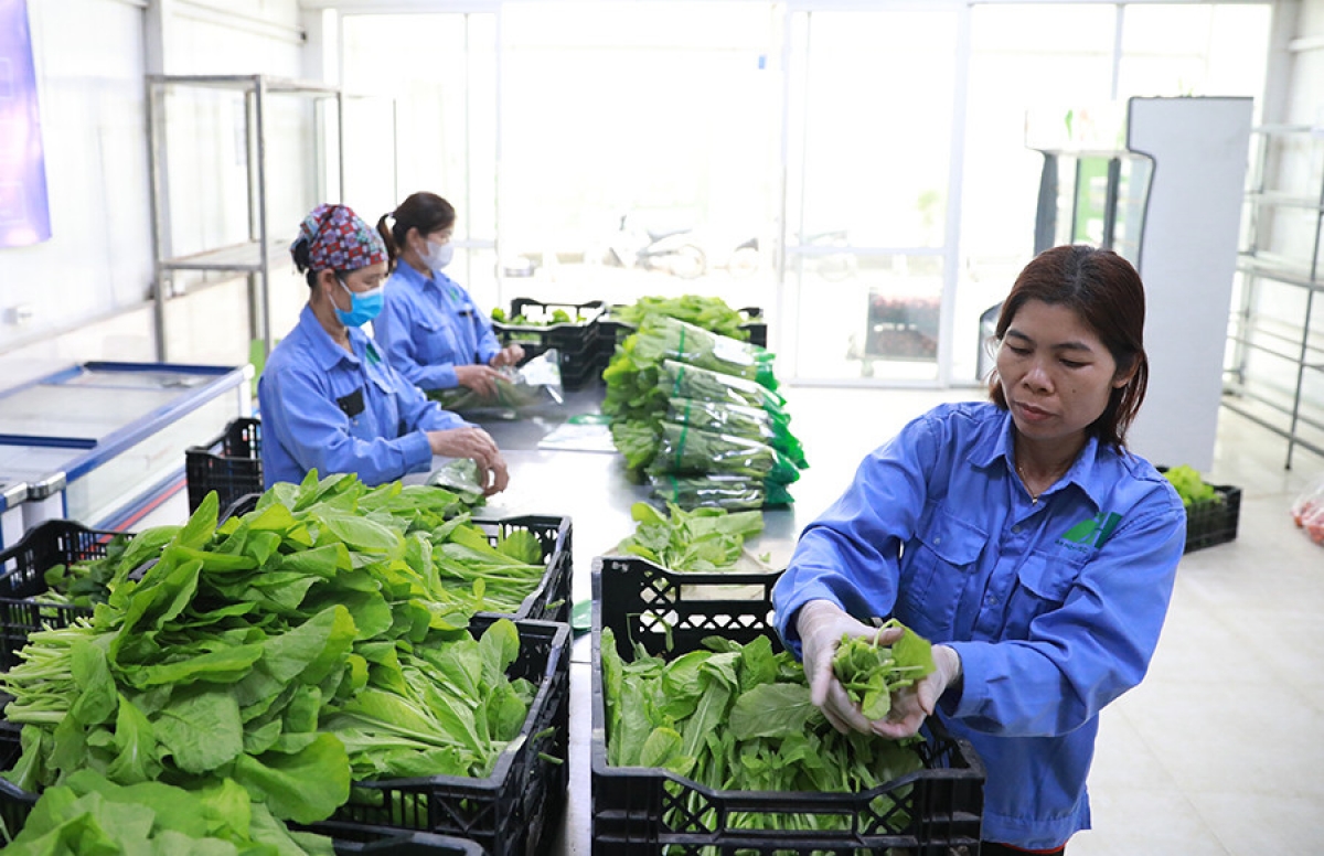 Người tiêu dùng ngày càng tin dùng những sản phẩm hữu cơ