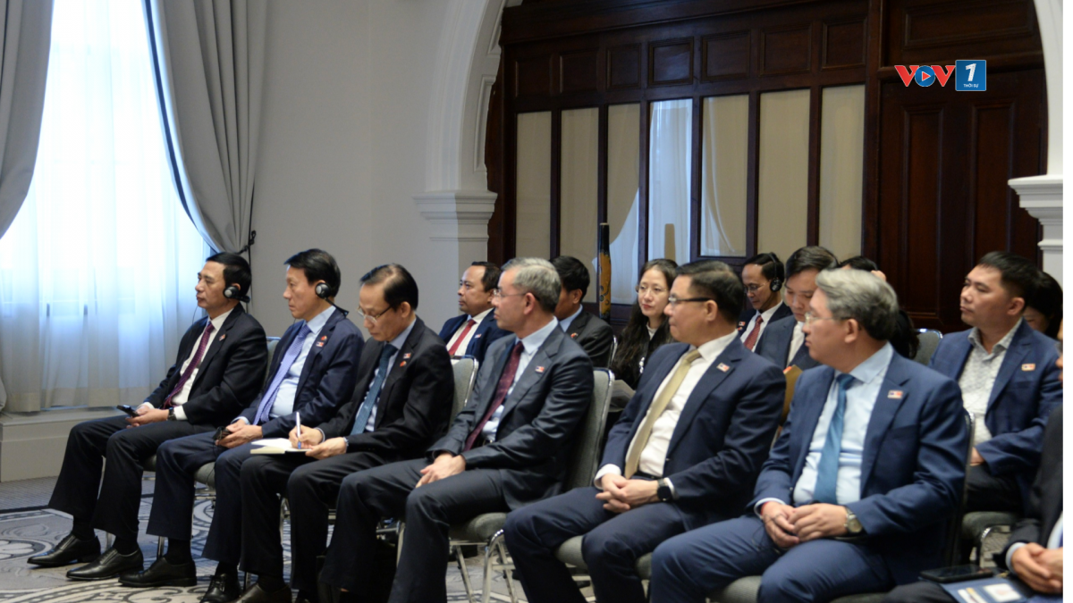 Đoàn đại biểu Việt Nam tại buổi tiếp