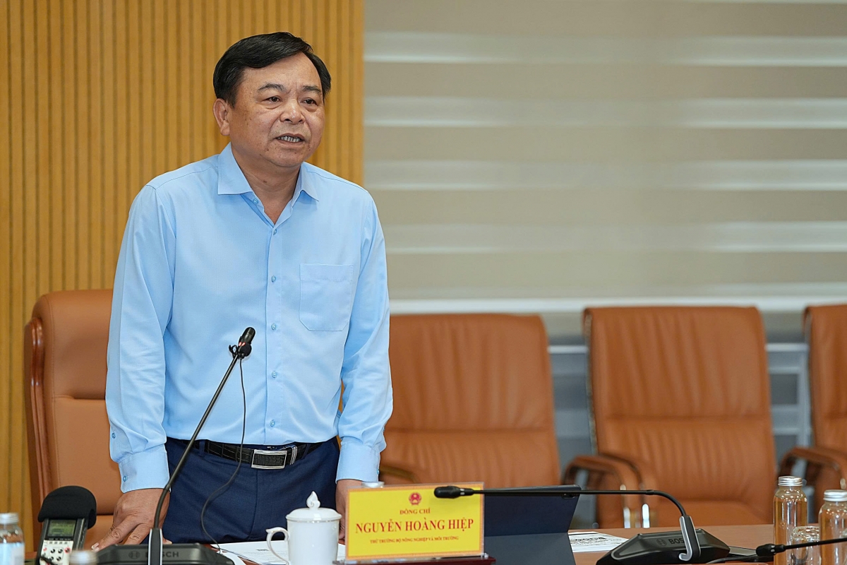 Thứ trưởng Nguyễn Hoàng Hiệp, các địa phương tăng cường tuyên truyền thống nhất về nhận thức, triển khai hiệu quả Nghị quyết số 36