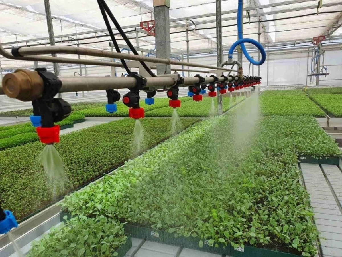 Các HXT rất cần được cung cấp các dịch vụ như thông tin sản xuất, tư vấn sản xuất... để hướng tới phát triển nông nghiệp sinh thái… Ảnh: TL