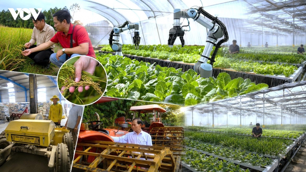 Chuyển đổi số, khoa học công nghệ là giải pháp cốt lõi để người nông dân phát triển sản xuất bền vững. Ảnh: VOV.VN