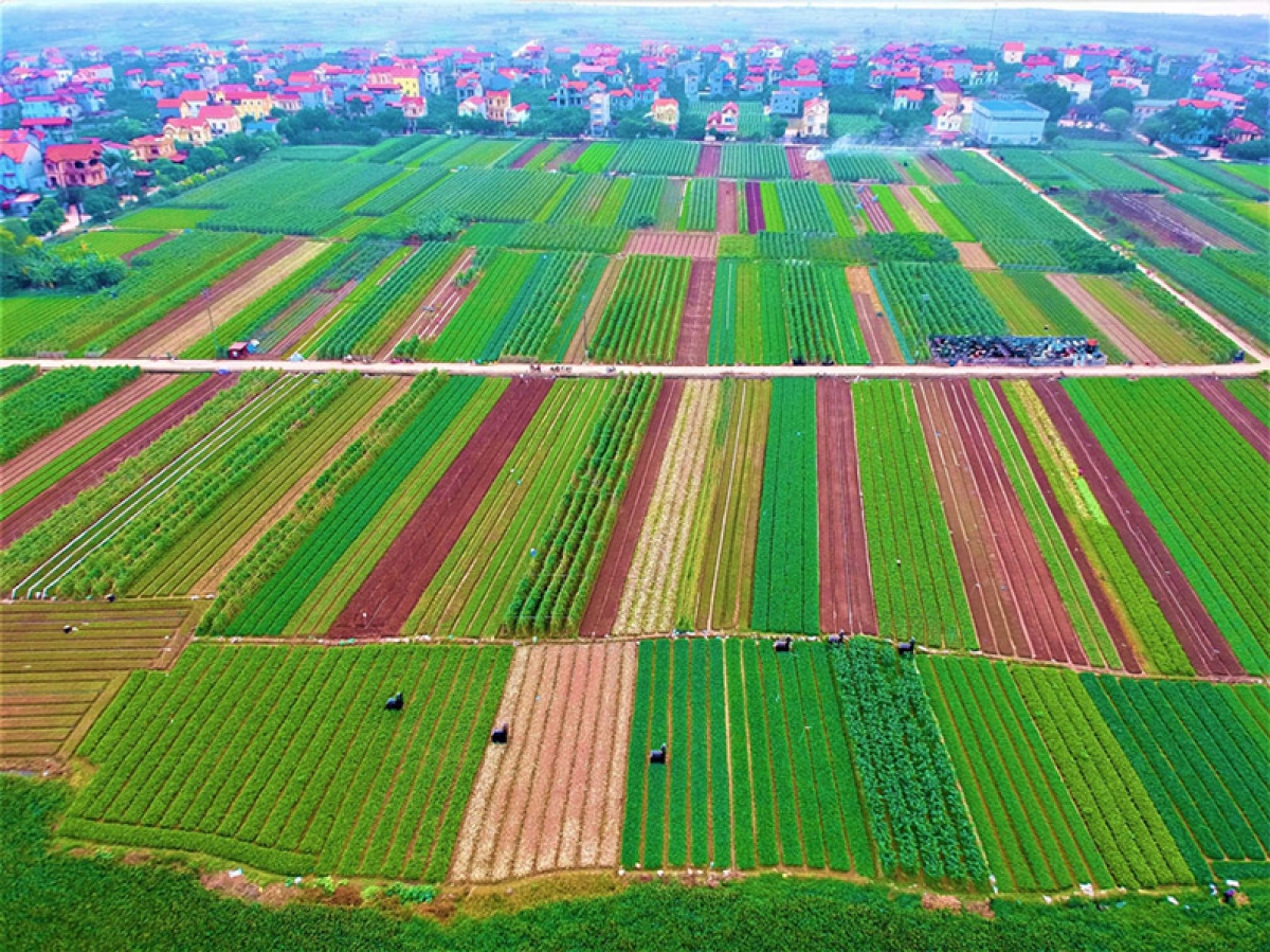 Hà Nội tăng cường quản lý, sử dụng hiệu quả quỹ đất nông nghiệp