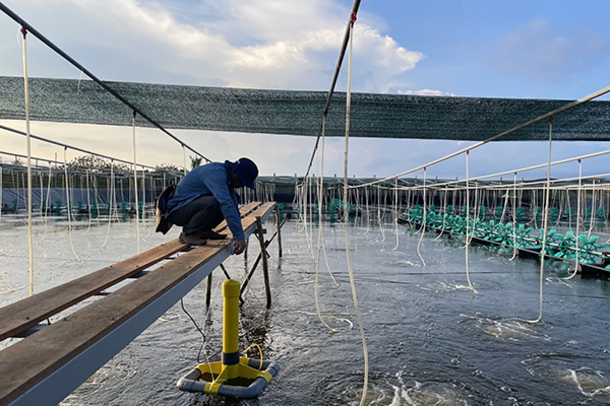 Thành phố Hà Nội đặt mục tiêu 100% cán bộ, công chức, 80% doanh nghiệp, hộ nuôi trồng thuỷ sản được tập huấn về pháp luật bảo vệ môi trường. (Ảnh minh hoạ).