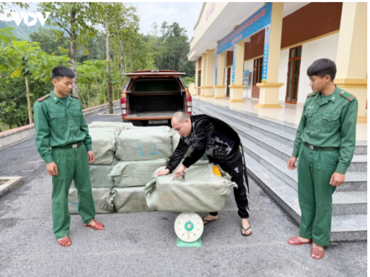 Gần 1 tấn nầm lợn đông lạnh không có giấy tờ chứng minh xuất xứ bị lực lượng chức năng phát hiện, thu giữ