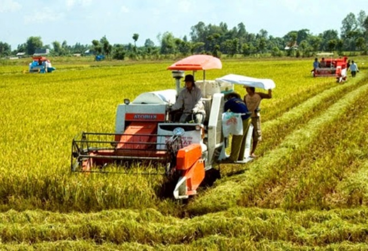Khuyến nông Hà Nội đồng hành cùng nông dân phát triển sản xuất hiệu quả