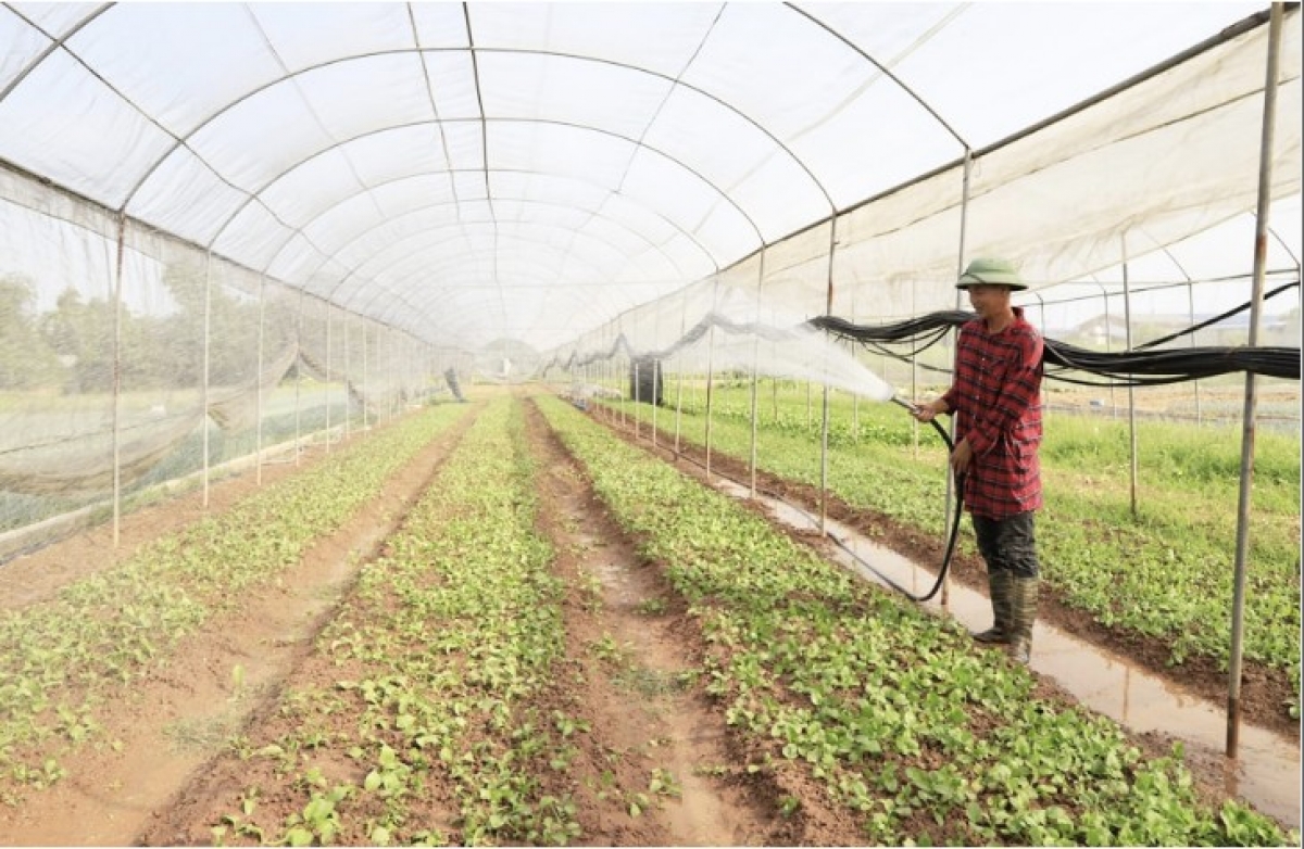 Nông nghiệp Hà Nội cần ứng dụng nghệ sản xuất hiện đại
