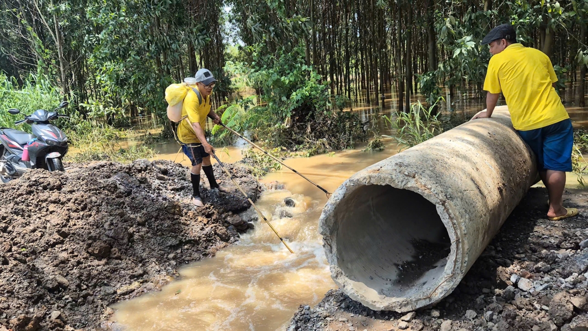 Tiến hành khơi thông dòng chảy