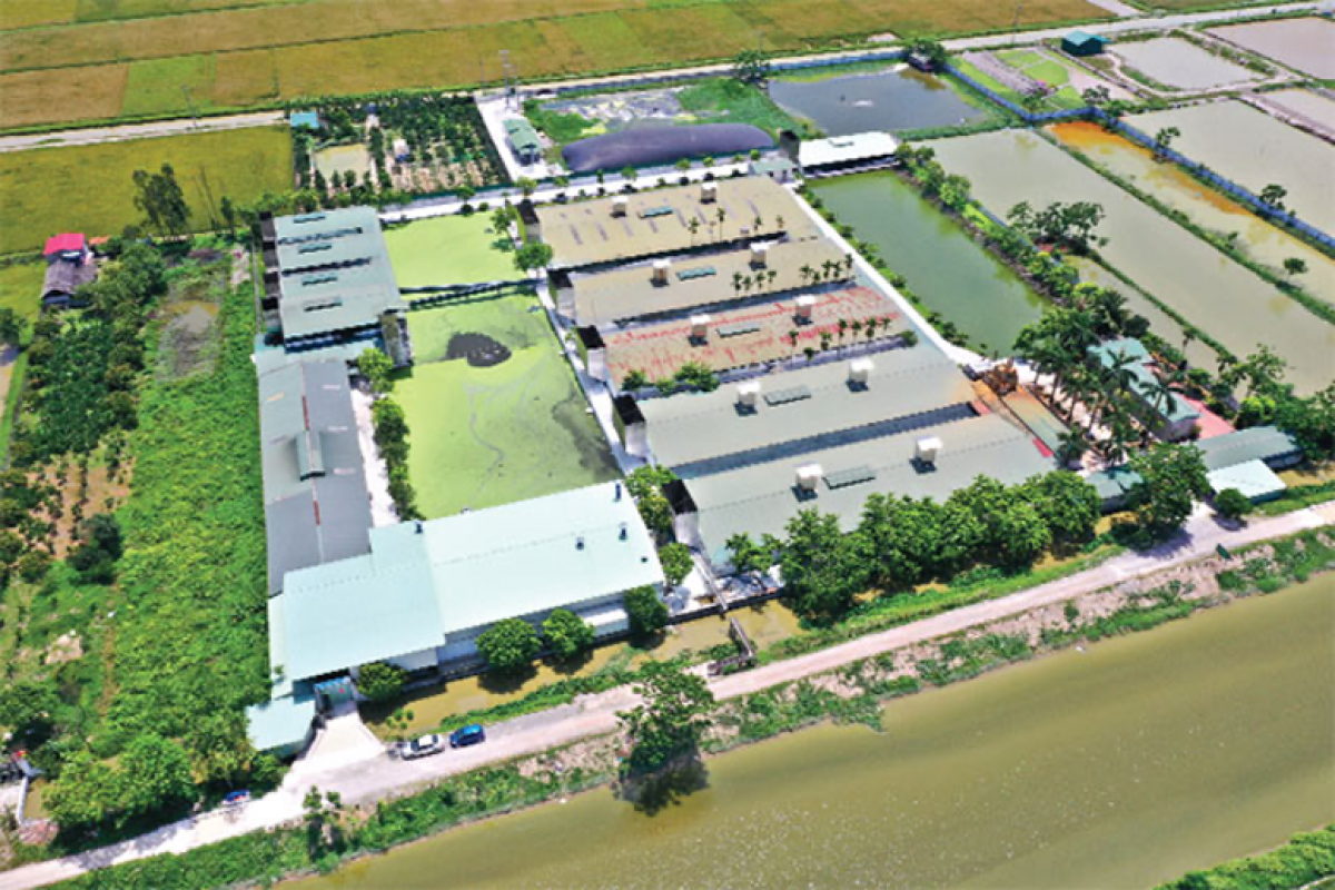 HTX chăn nuôi Hoàng Long, đơn vị sản xuất nông nghiệp khép kín, bảo vệ môi trường