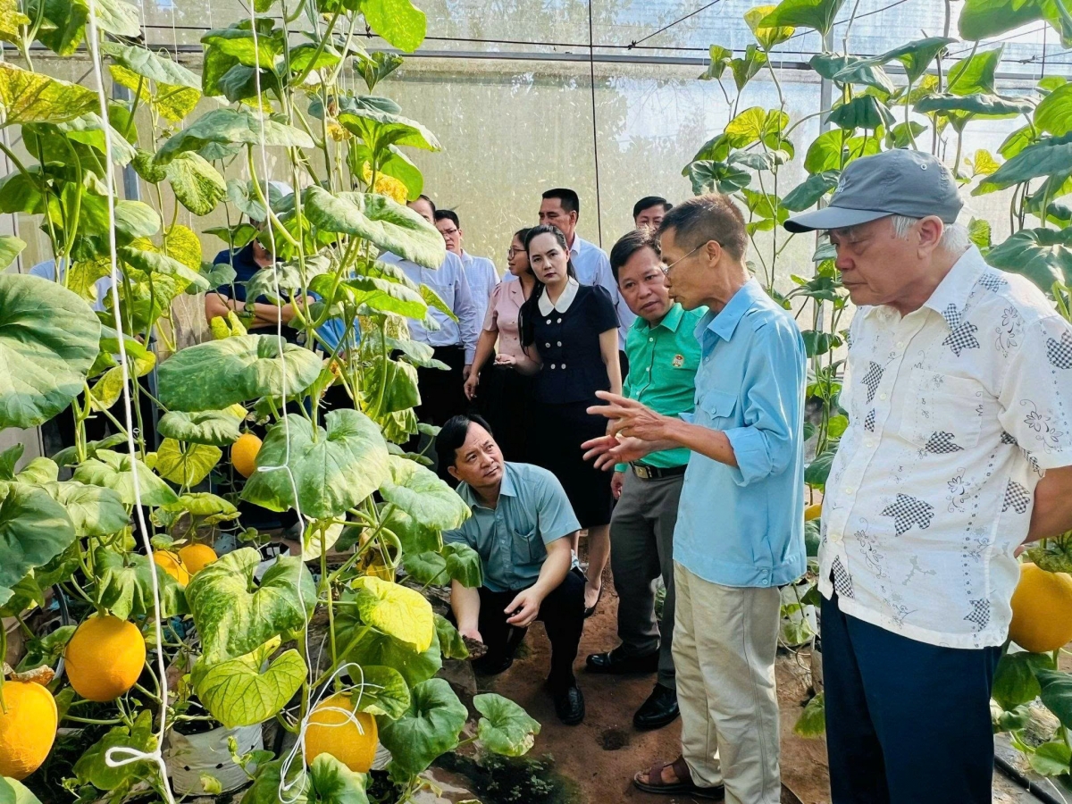 Hà Nội đưa chính sách nông nghiệp mới đến gần hơn với nông dân Thủ đô