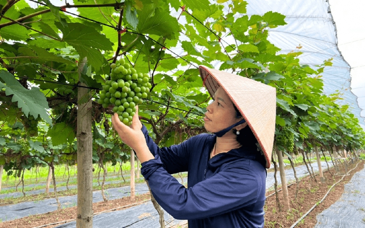 Hà Nội bảo vệ môi trường gắn với phát triển nông nghiệp xanh