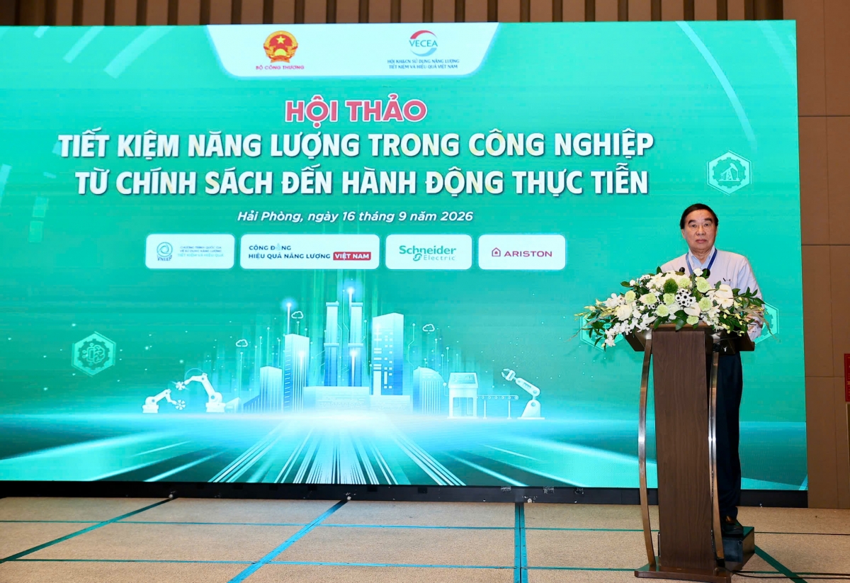 Ông Nguyễn Đình Hiệp - Chủ tịch Hội Khoa học và công nghệ sử dụng năng lượng tiết kiệm và hiệu quả Việt Nam (VECEA). Ảnh VNEEP3