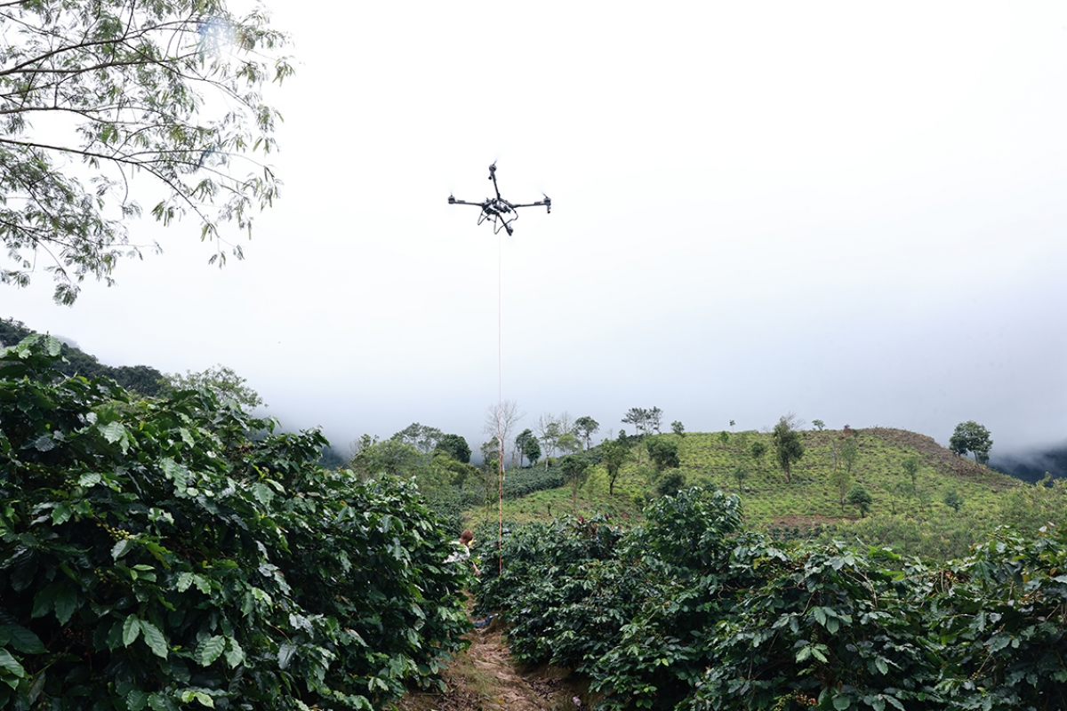 Vận chuyển nông sản từ điểm thu hoạch đến điểm tập kết bằng UAV